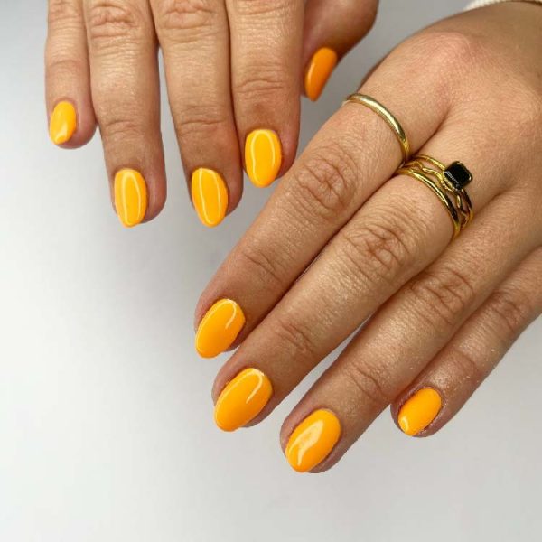 204 - Mango Fox - Image 5