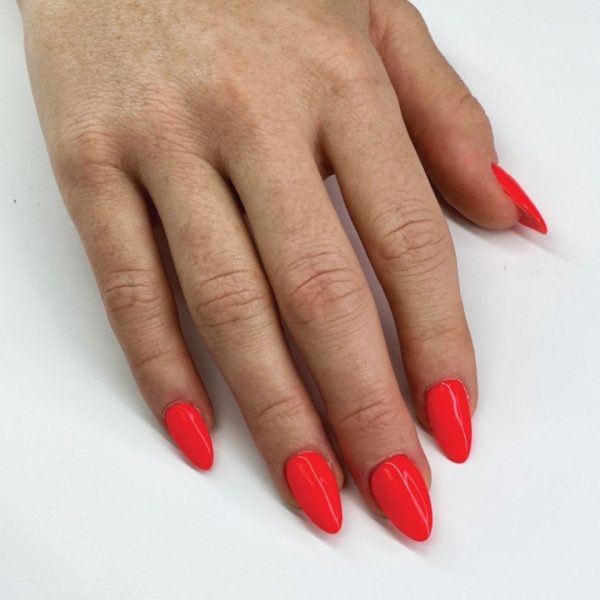 213 - Orange You Dazzled - Image 3